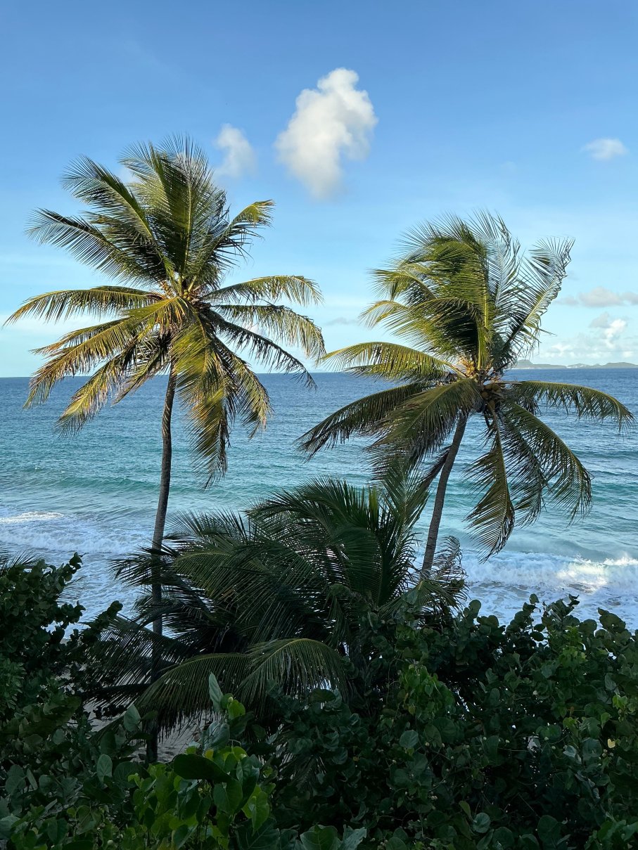 比提昂斯酒店-官方