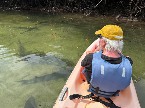 Galapagos by Local Guides-圣克鲁斯必去景点