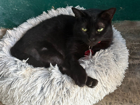 Refugio Holbox-Holbox Island必去景点