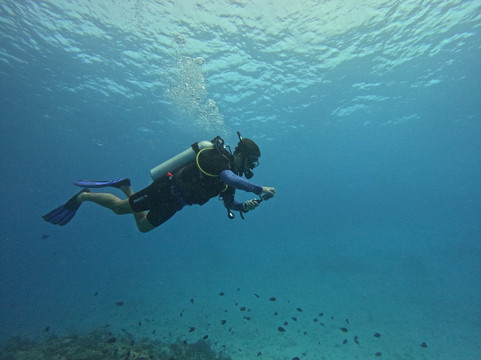 Euro-Divers Niva Kurumba Maldives-库鲁巴椰子岛必去景点