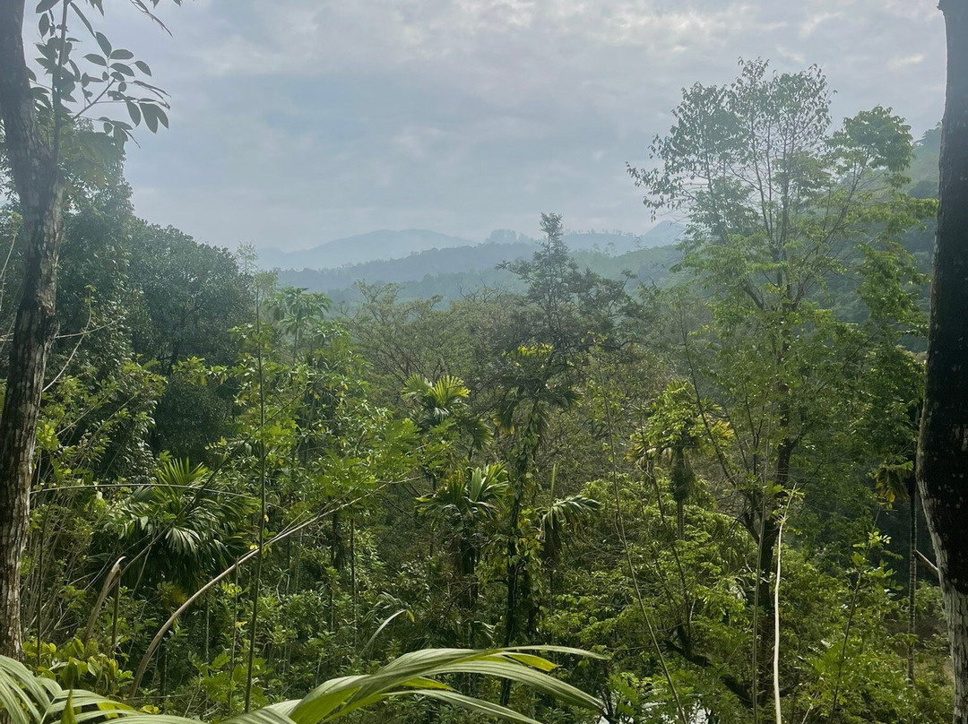 康提三昧中心酒店主图