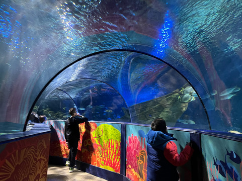 Weymouth SEA LIFE Adventure Park-韦茅斯必去景点