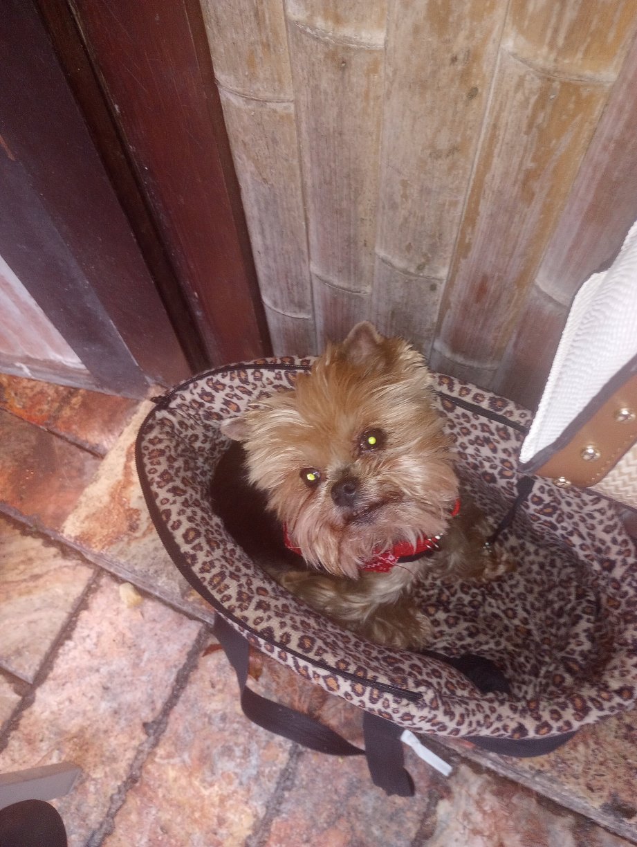 圣彼得堡市中心霍兰德酒店-官方