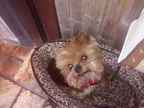 圣彼得堡市中心霍兰德酒店主图