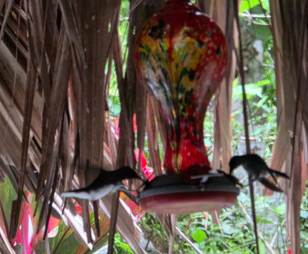 内陆自然保护区酒店主图