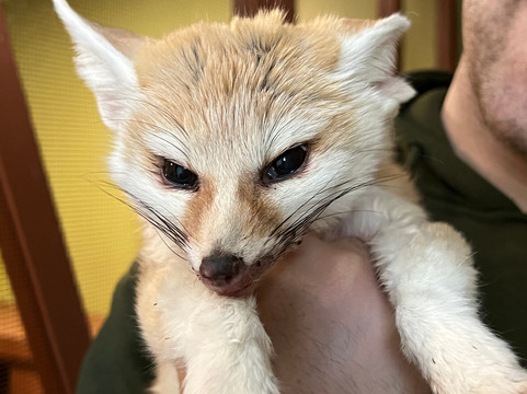 Animal Adventures Family Zoo & Rescue Center-Bolton必去景点