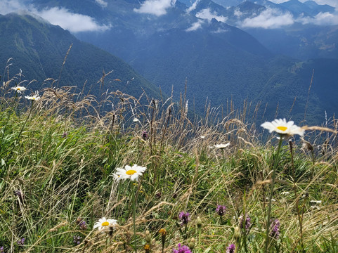 Skycircuitvelo-Saint-Lizier必去景点