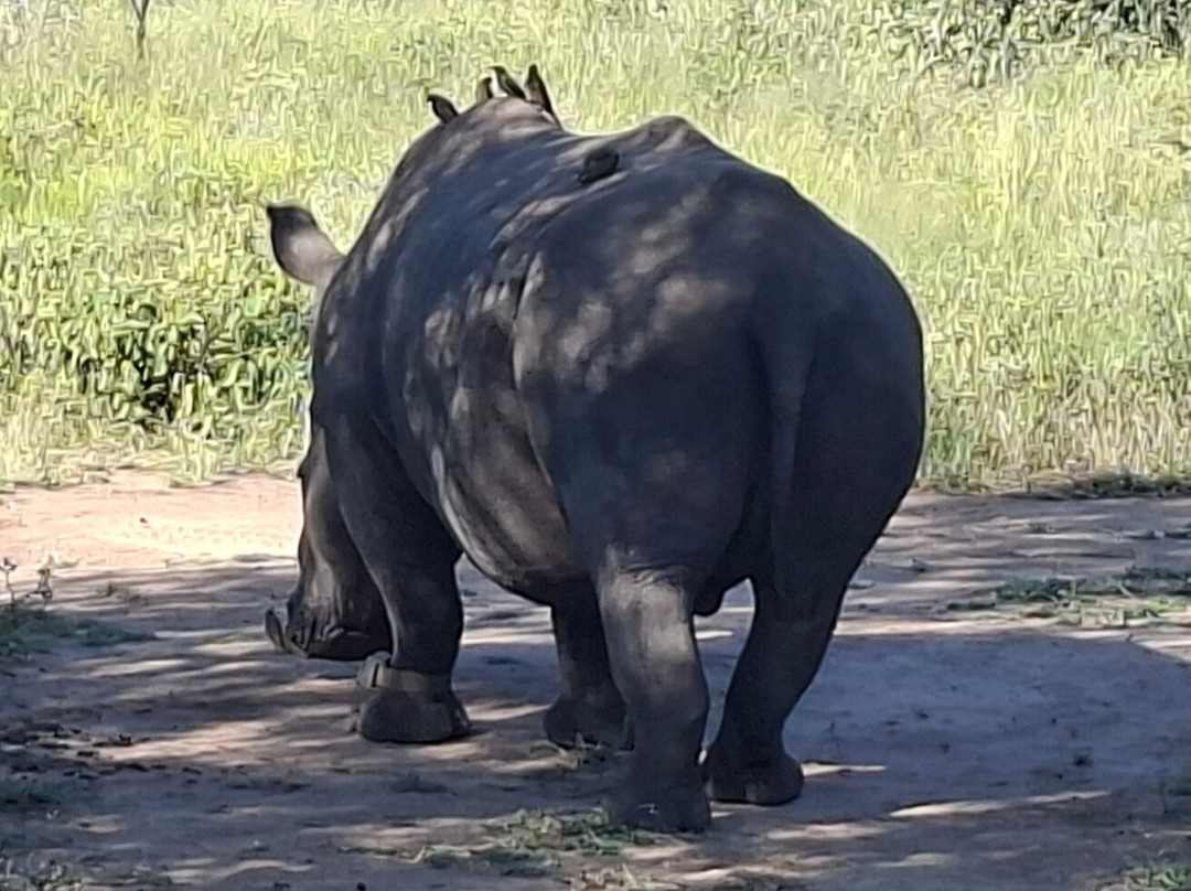 Legends of Africa-霍德斯普鲁特必去景点