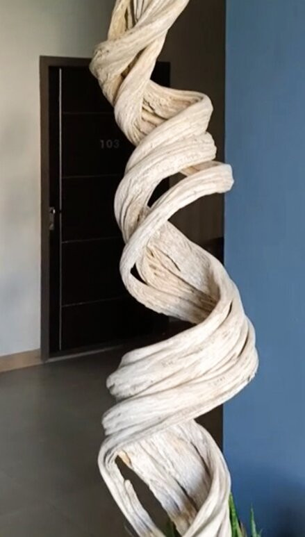 马尔代夫迪弗西天空海滩酒店主图