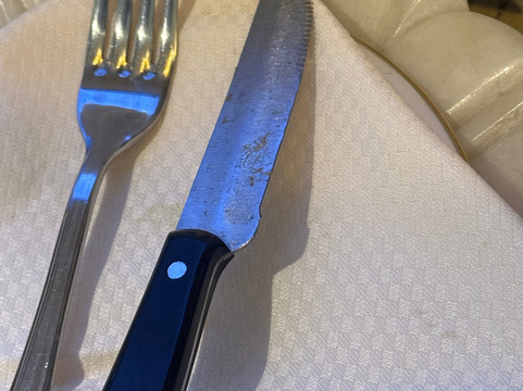 新德里的里拉皇宫酒店主图