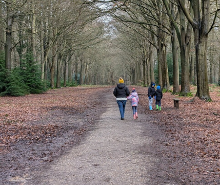 Felbrigg Hall-诺威奇必去景点