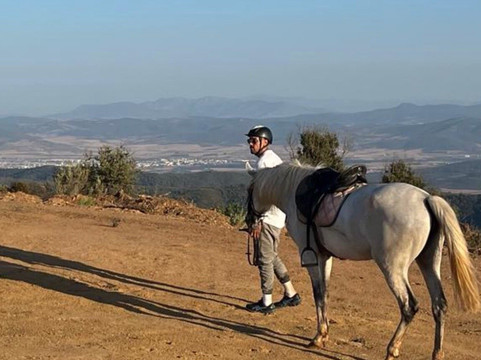Services d'Or Algérie-Skikda必去景点