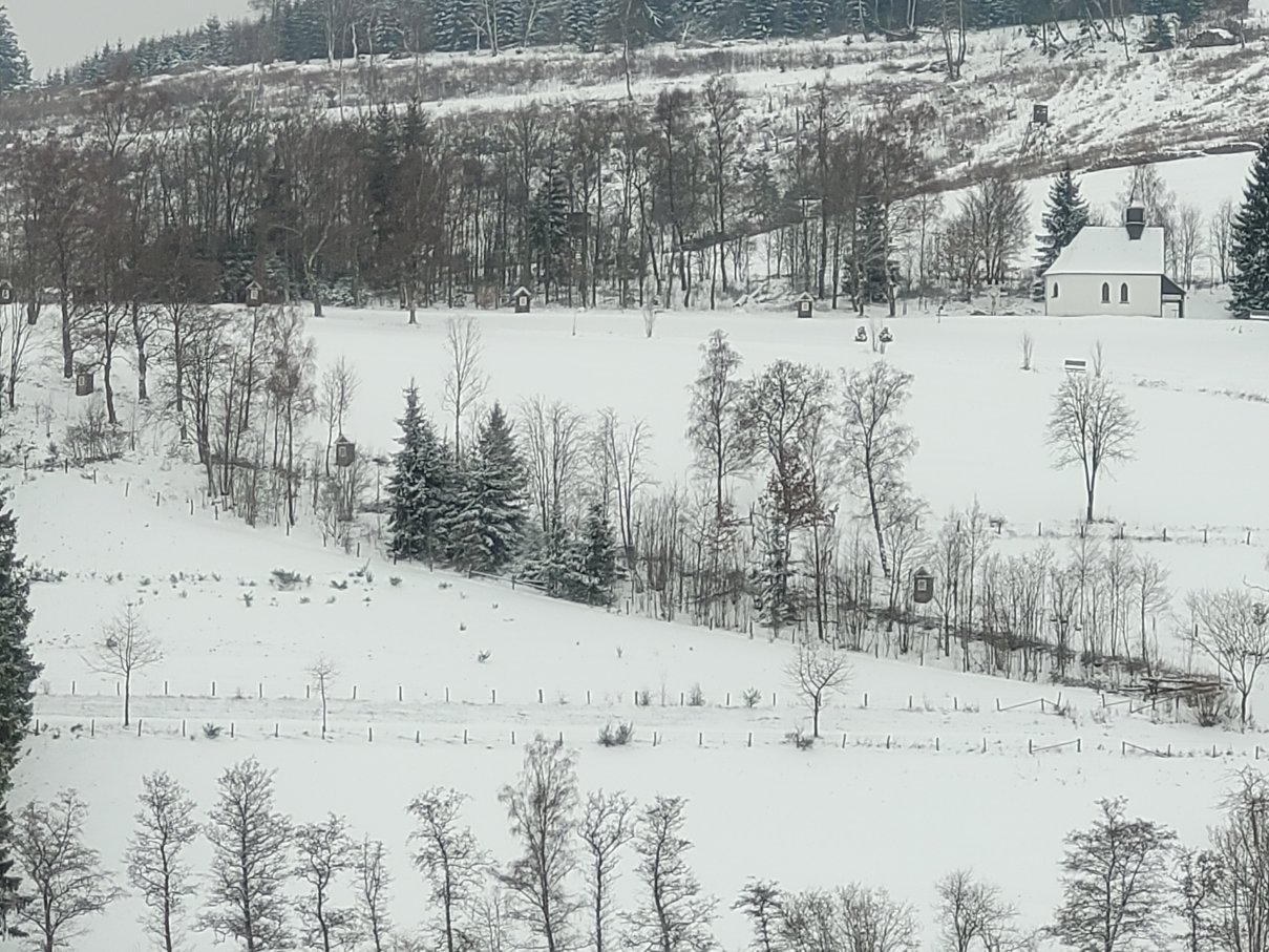 阳光膳宿公寓-官方