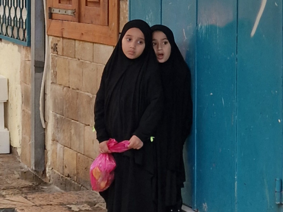 ZELKIND BEST ISRAEL BIBLE LAND PRIVATE TOURS-特拉维夫必去景点