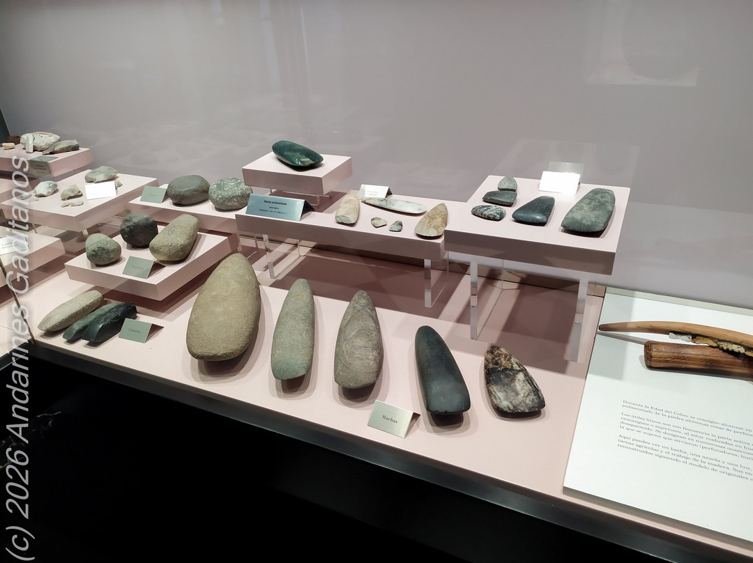 Museo Arqueologico  de Jerez-赫雷斯德拉弗隆特拉必去景点