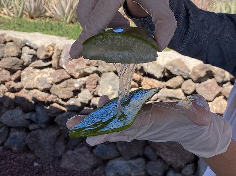 Finca Canarias Aloe Vera-Guimar必去景点