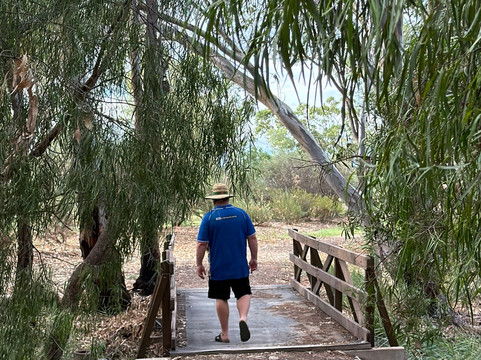 Goondiwindi Botanic Gardens of the Western Woodlands-Goondiwindi必去景点
