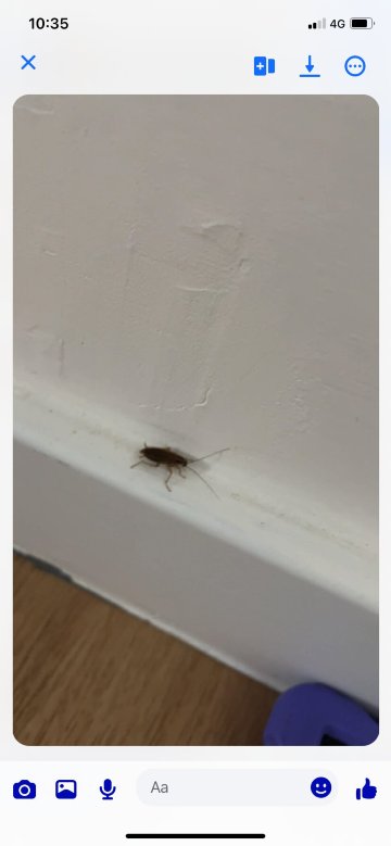 乡村家庭汽车旅馆-官方