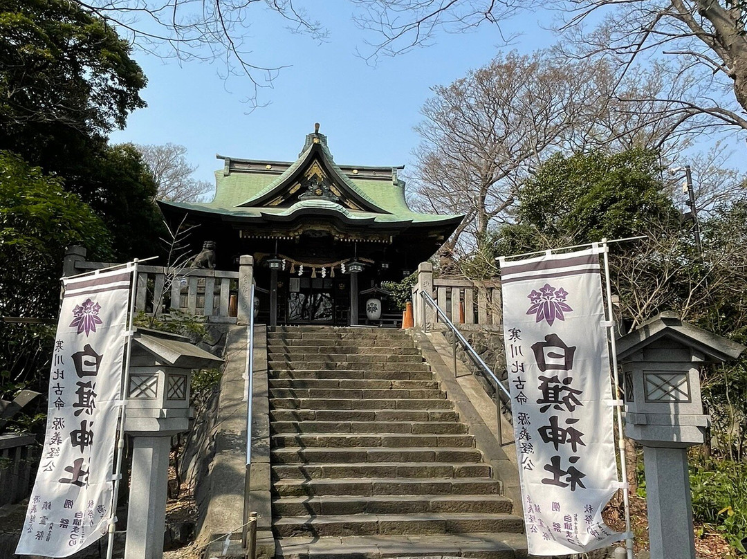 Shirahata Shrine-藤泽市必去景点
