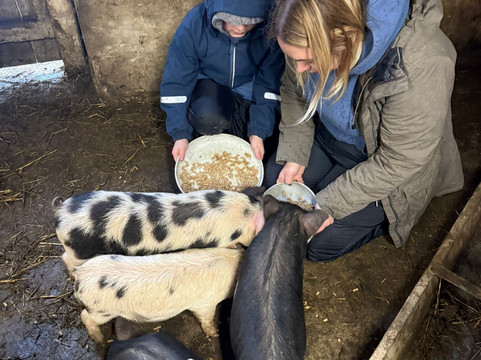 Walking the goats at Lower Coates-巴恩斯利必去景点