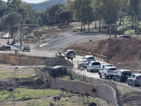 La Reserva del Castillo de las Guardas-塞维利亚必去景点