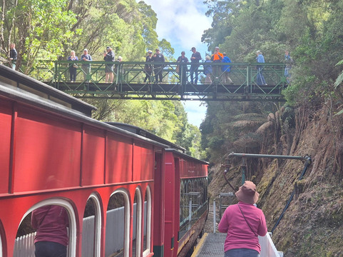 West Coast Wilderness Railway-皇后镇必去景点