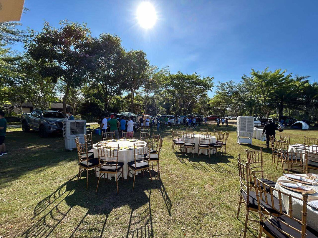 扎伊达花园主图