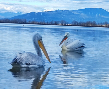 Greece Bird Tours-Marathon必去景点