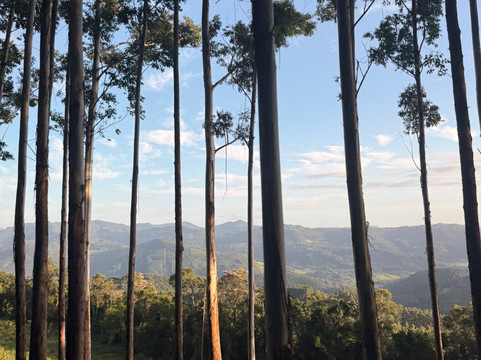 Morro Grande-Rolante必去景点