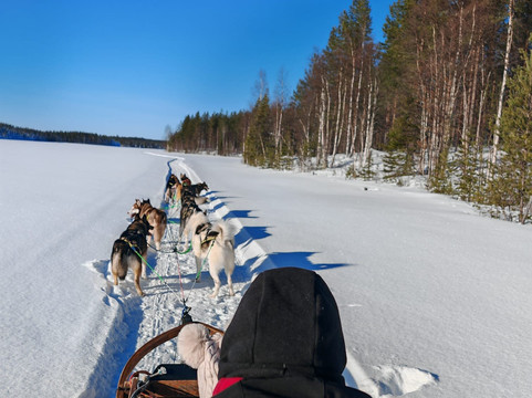 Openlappland-Amsele必去景点