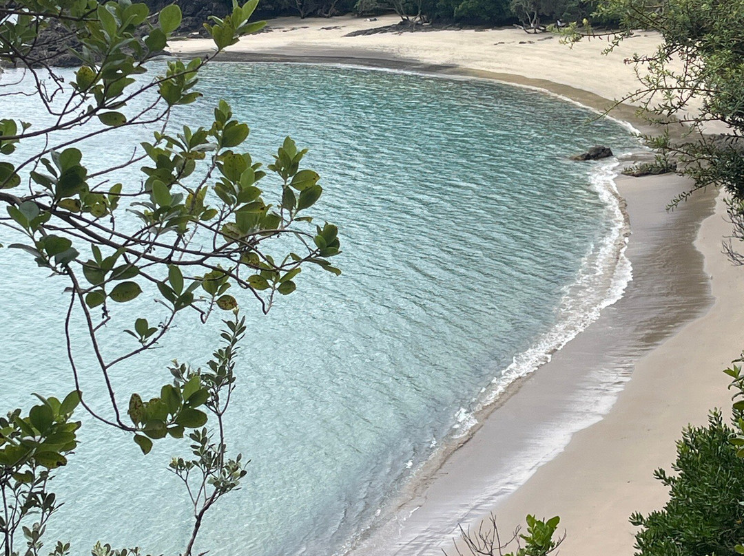 Whale Bay-Matapouri必去景点