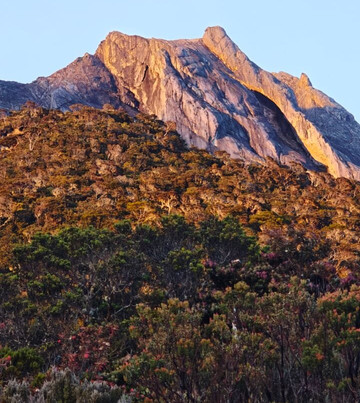 Borneo Calling-亚庇必去景点