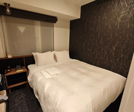 东京西新宿东急STAY酒店主图