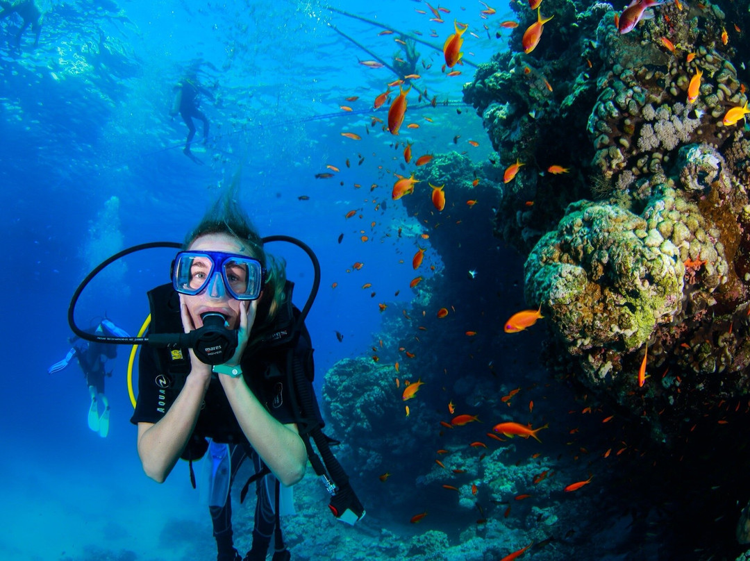 VIP Diving College-沙姆沙伊赫必去景点