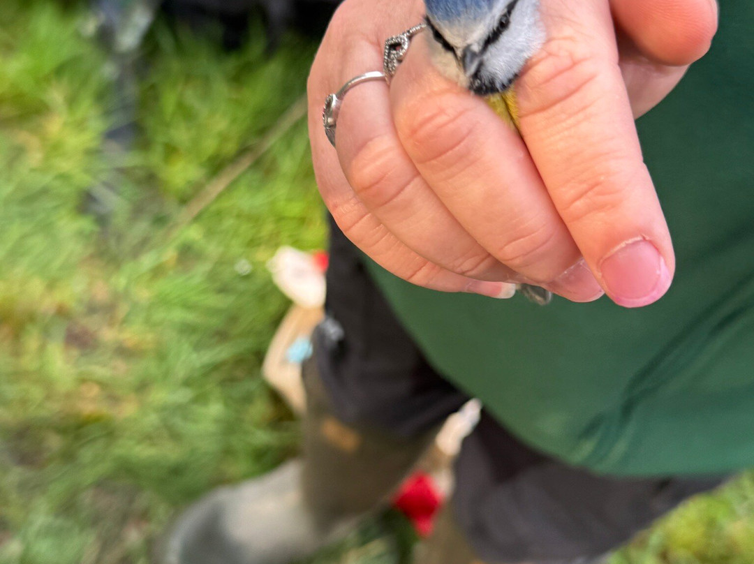 Wild New Forest Guided Tours-利明顿必去景点