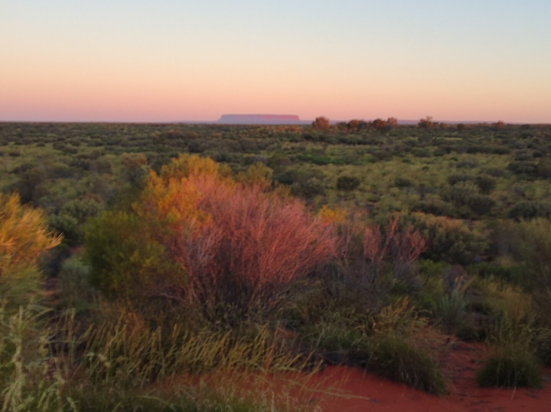 Mulgas Adventures-爱丽斯泉必去景点