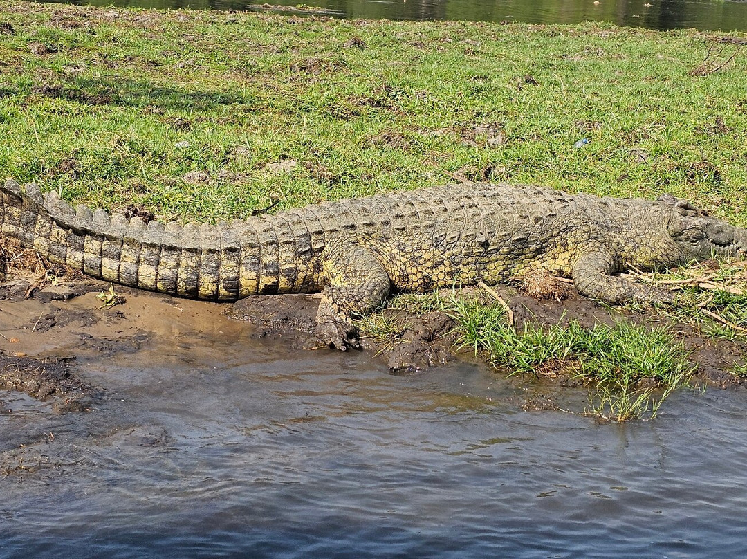 Wild Whispers Africa-马辛迪必去景点