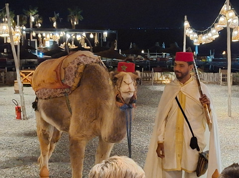 Morocco Travel Dreams-马拉喀什必去景点