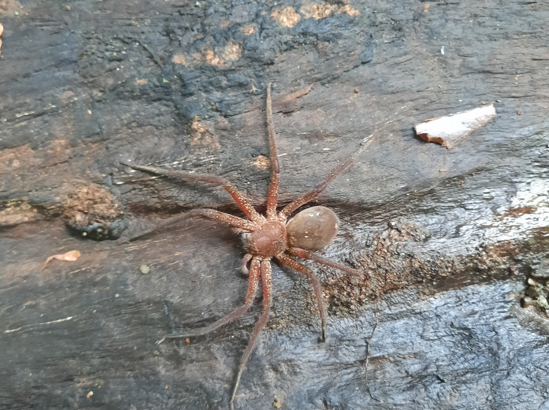 Wolter Gaman-Waisai必去景点