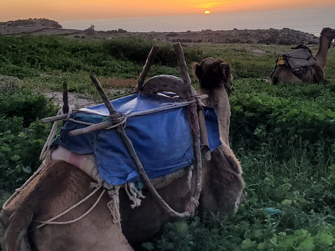 Morocco Trekking-马拉喀什必去景点