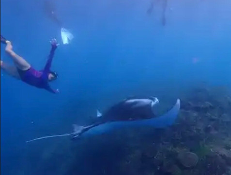 Aquaman Snorkeling Lembongan-蓝梦岛必去景点