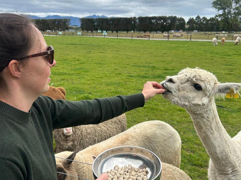 Woodstone Farm, Te Anau, New Zealand-蒂阿瑙必去景点