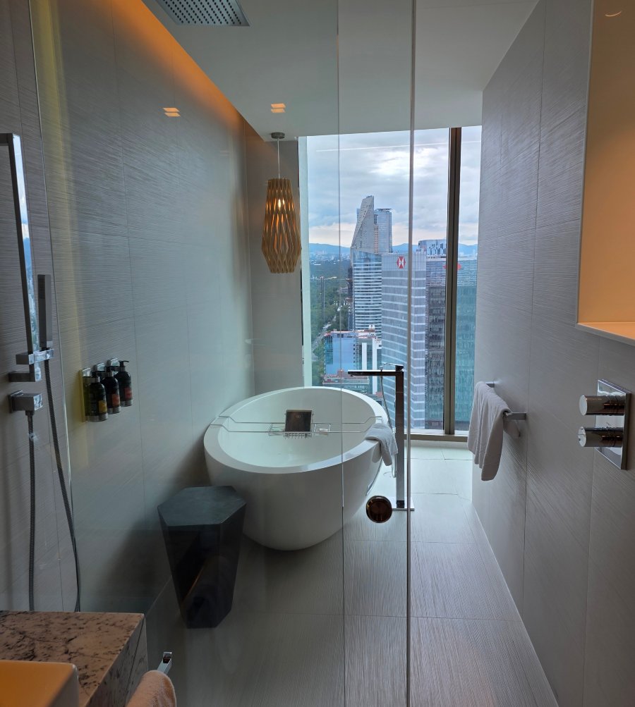 墨西哥城索菲特改革大道酒店-浴室