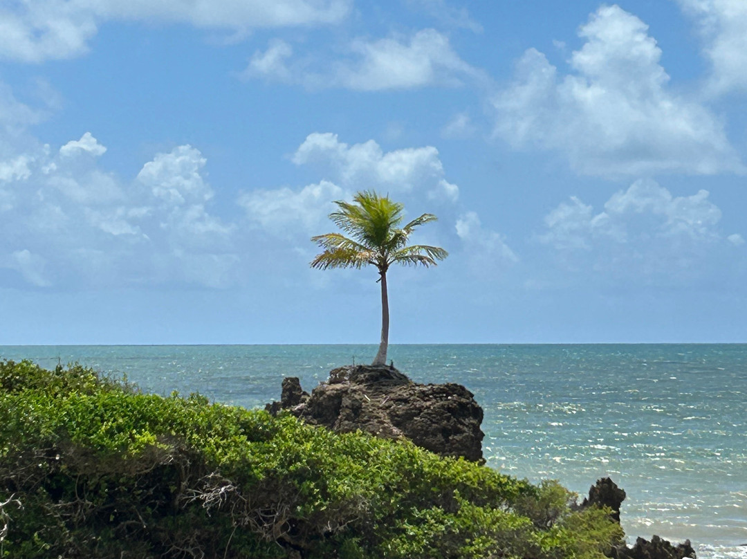 Praia de Tambaba-Conde必去景点