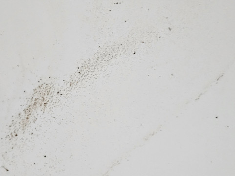 阿尔斯特柯莱特酒店主图