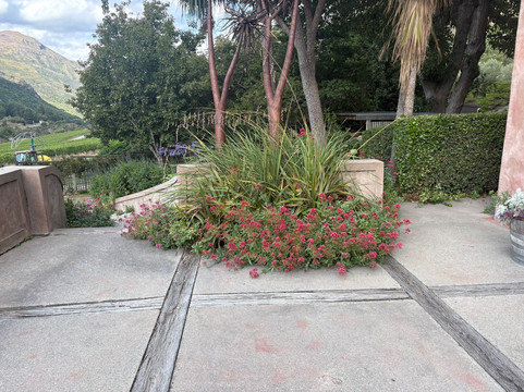 查德农场酒庄-Gibbston必去景点