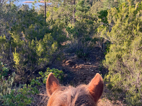 Aventure cheval. Randonnées à cheval-La Crau必去景点