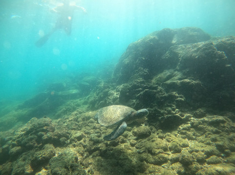 Pesca Panama-大卫市必去景点