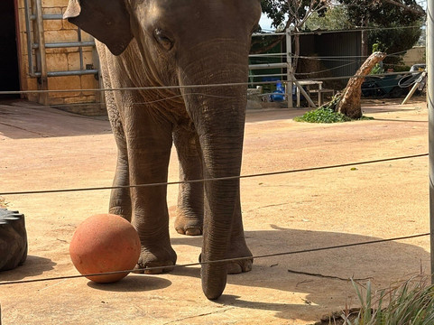 Pafos Zoo-帕福斯必去景点