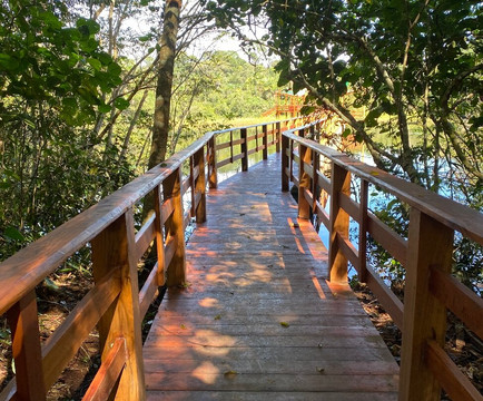 Floresta Nacional dos Carajas-Parauapebas必去景点